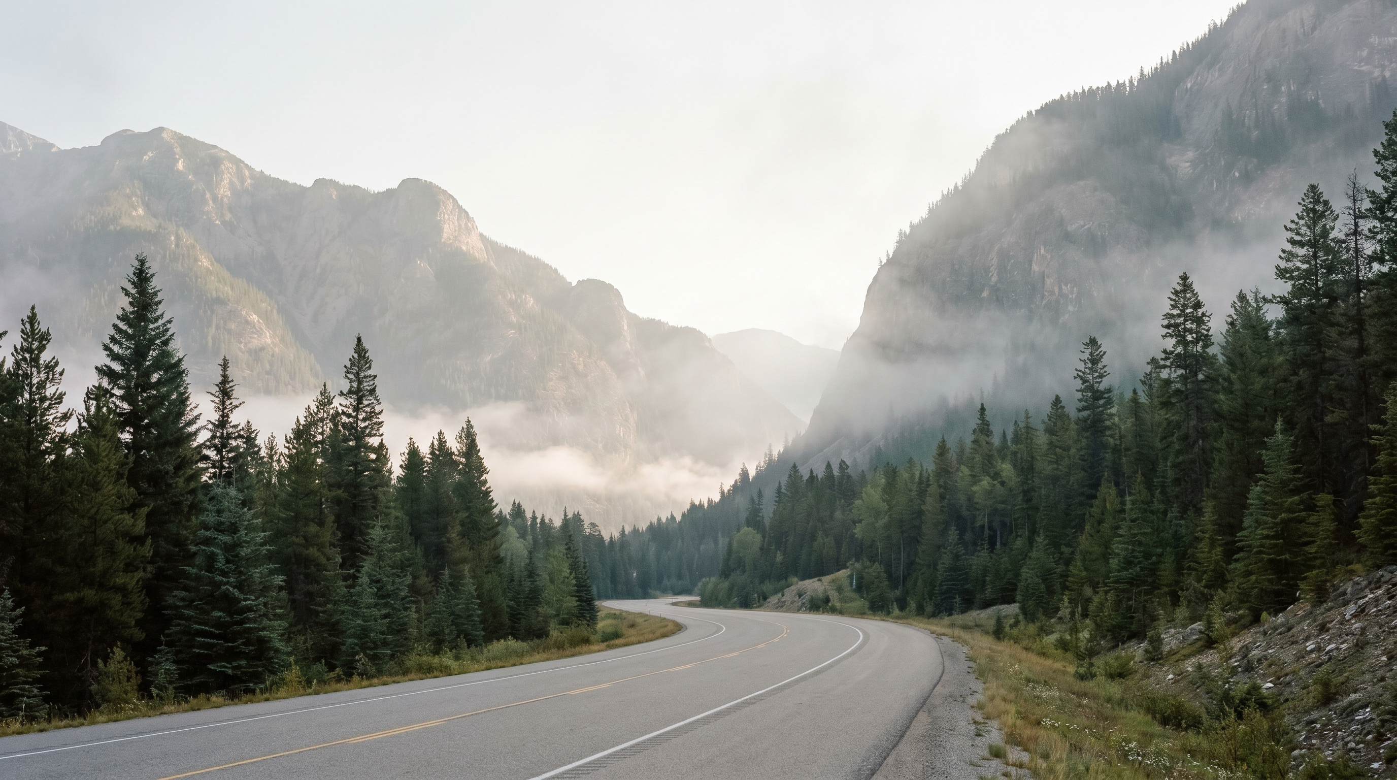 Mountain road through the Columbia Valley